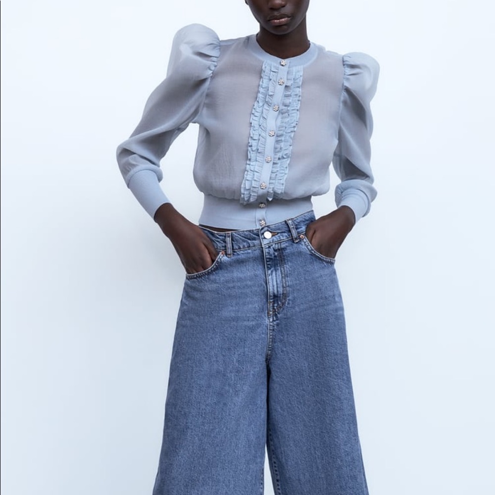 Zara Sheer Baby Blue Puff Sleeve Cardigan